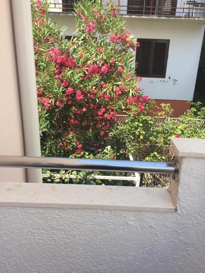 Padrov Apartment *