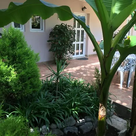 Apartmani Padrov Igalo Exterior photo