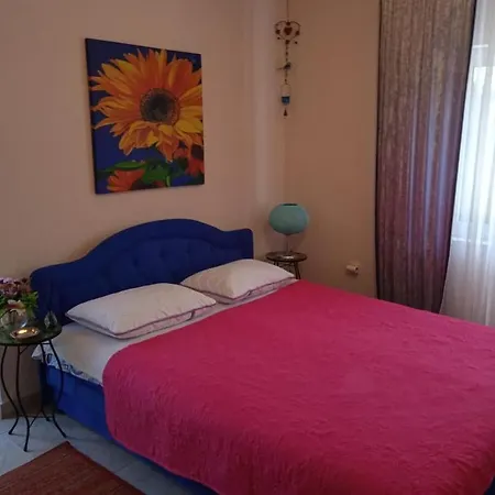 Apartmani Padrov Igalo Exterior photo